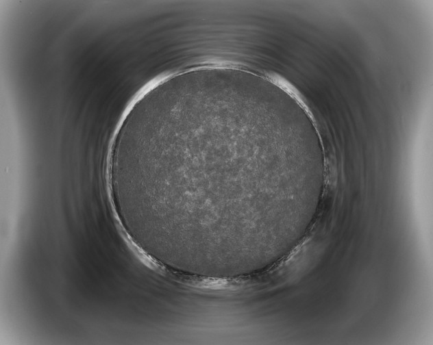 X0000087611098200704271336