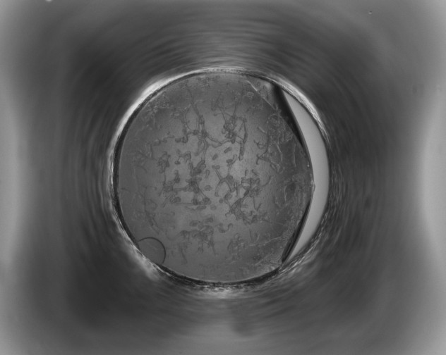 X0000087611099200704271336