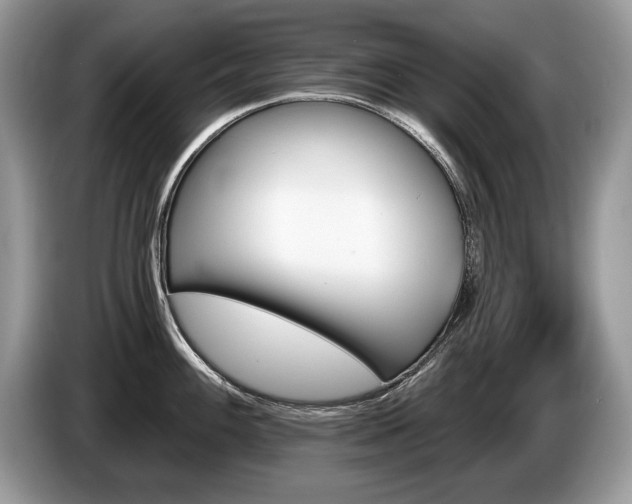 X0000087611100200704271336