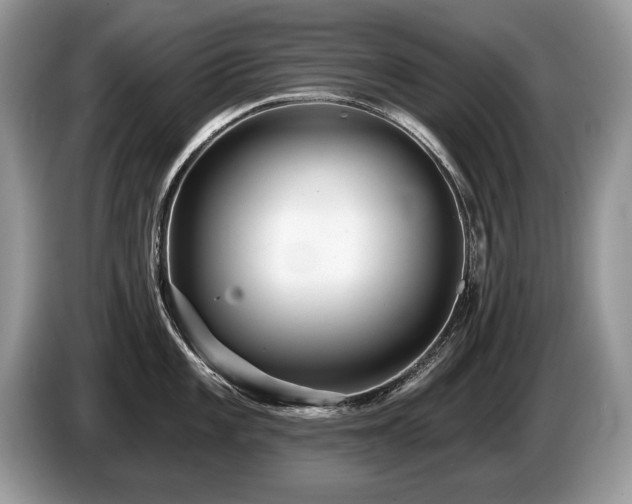 X0000087611101200704271336