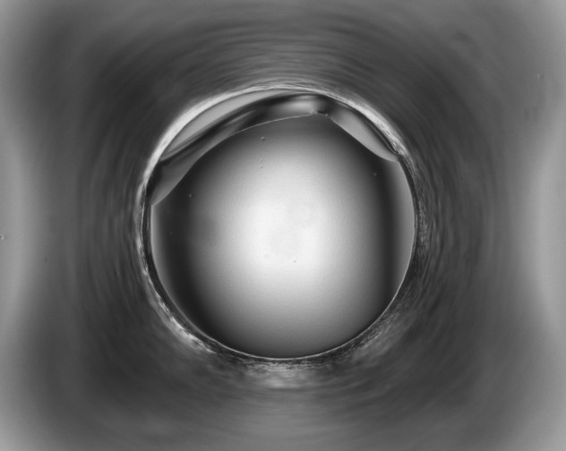 X0000087611102200704271336
