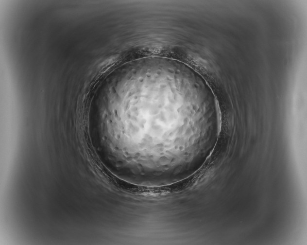 X0000087611105200704271335