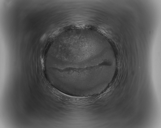 X0000087611106200704271335