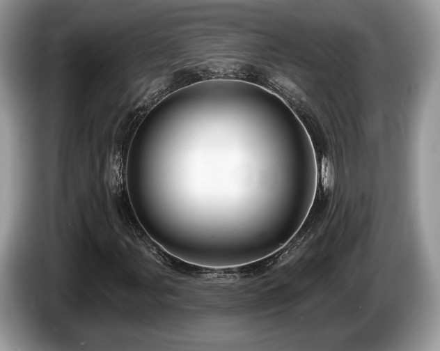 X0000087611107200704271335