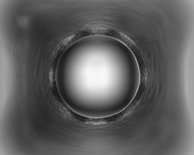 X0000087611108200704271335