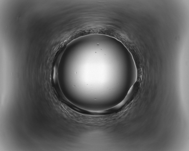 X0000087611109200704271335