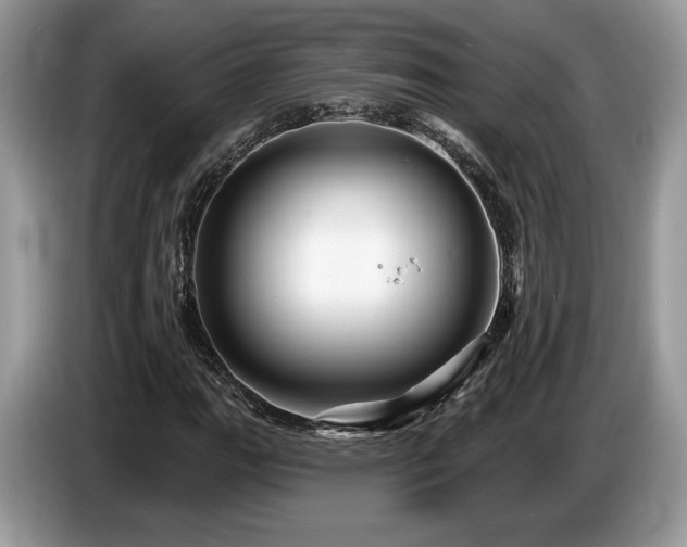 X0000087611111200704271336