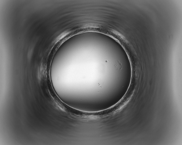 X0000087611113200704271336