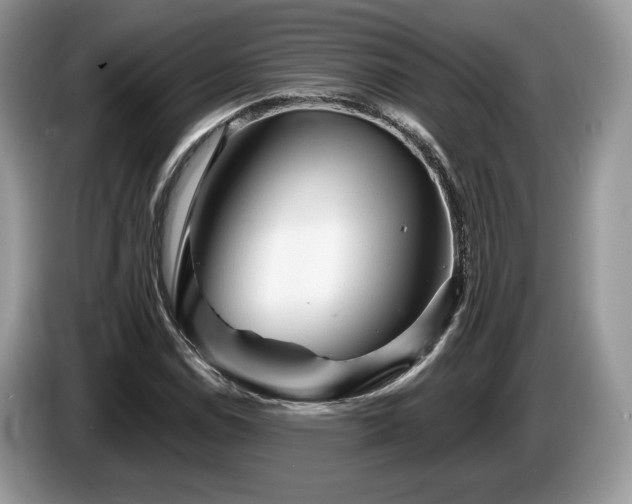 X0000087611114200704271336