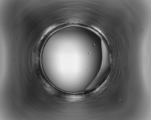 X0000087611115200704271336