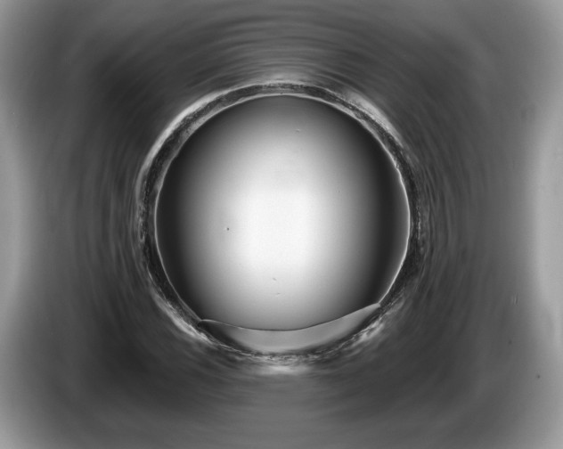 X0000087611116200704271336