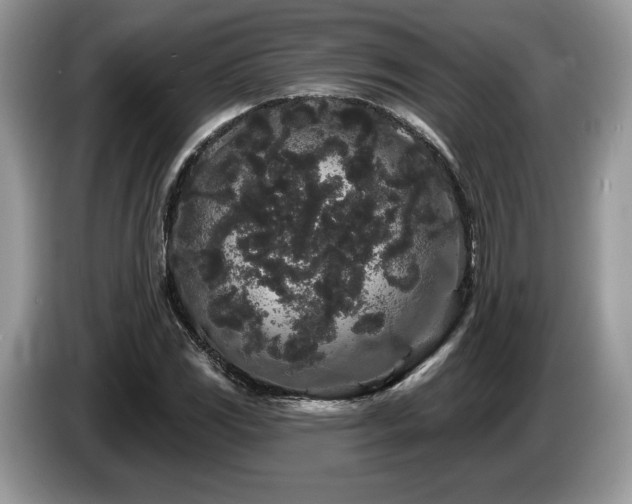 X0000087611117200704271336