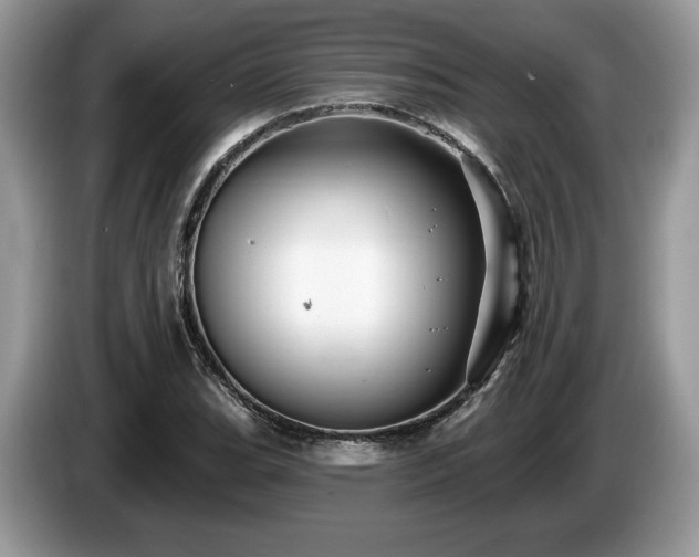X0000087611119200704271336