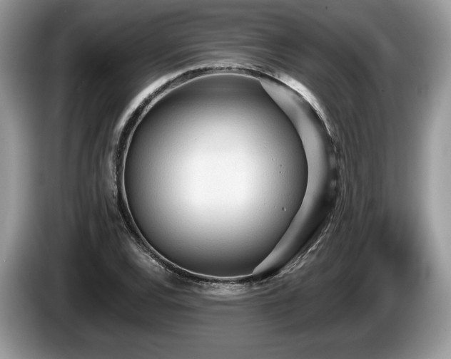 X0000087611120200704271336
