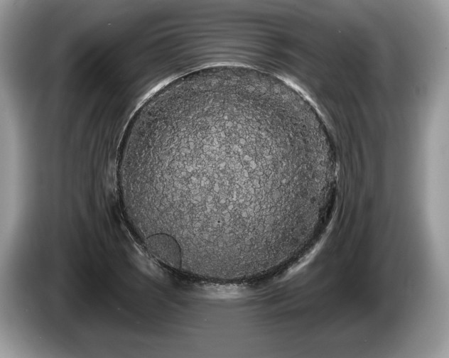 X0000087611121200704271336