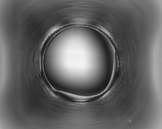 X0000087611123200704271336