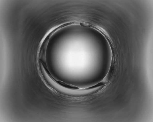 X0000087611128200704271336