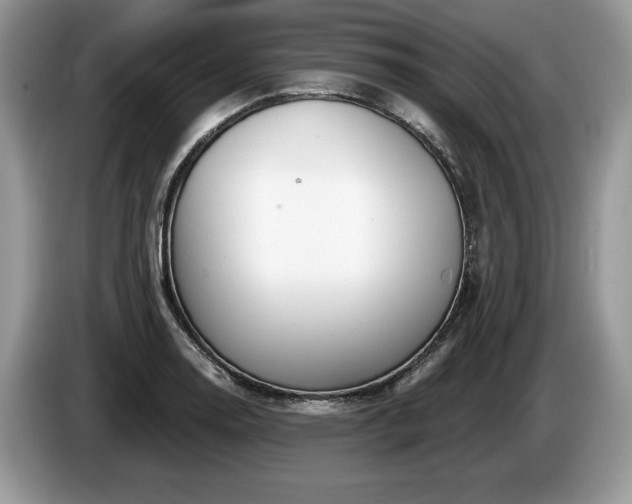 X0000087611130200704271336