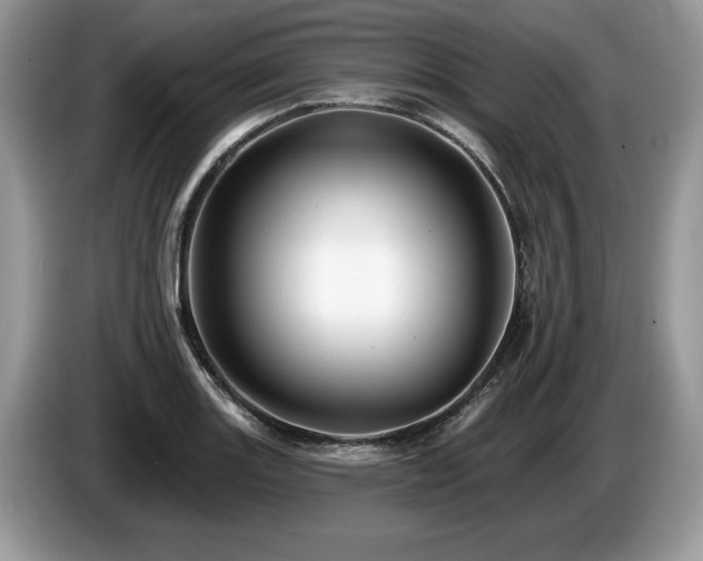 X0000087611131200704271336