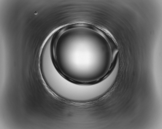 X0000087611132200704271336