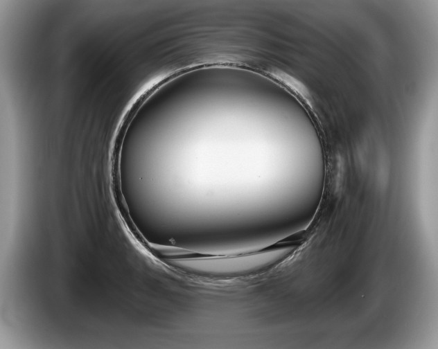 X0000087611135200704271336
