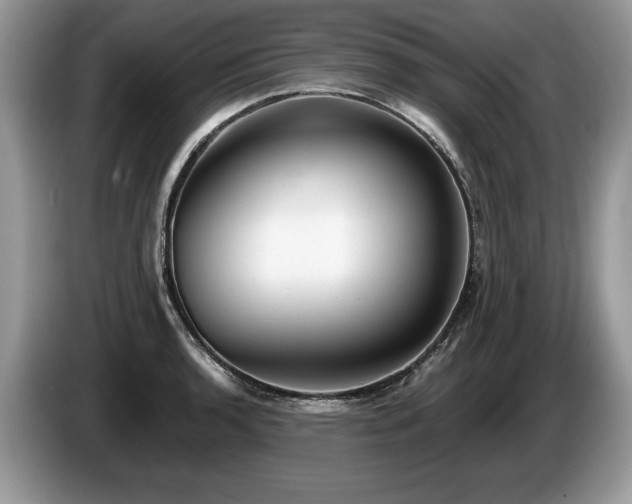 X0000087611136200704271336