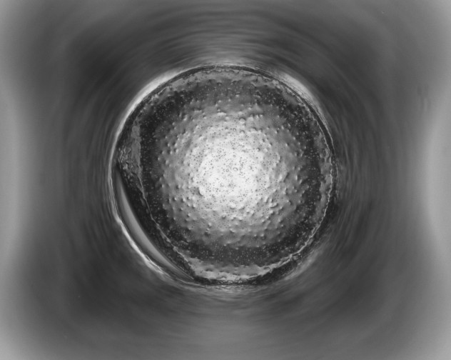 X0000087611141200704271336