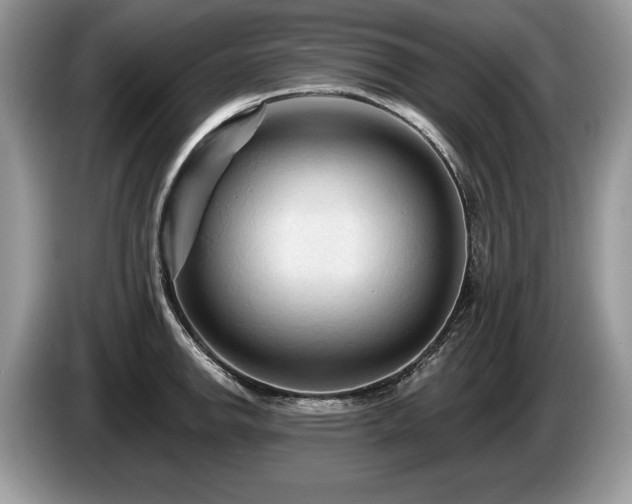 X0000087611142200704271336