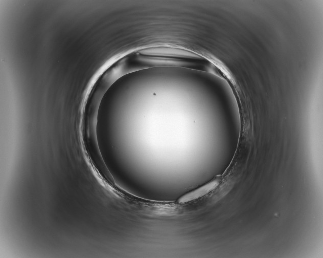 X0000087611144200704271336
