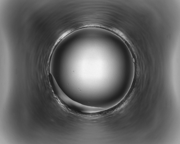 X0000087611145200704271336