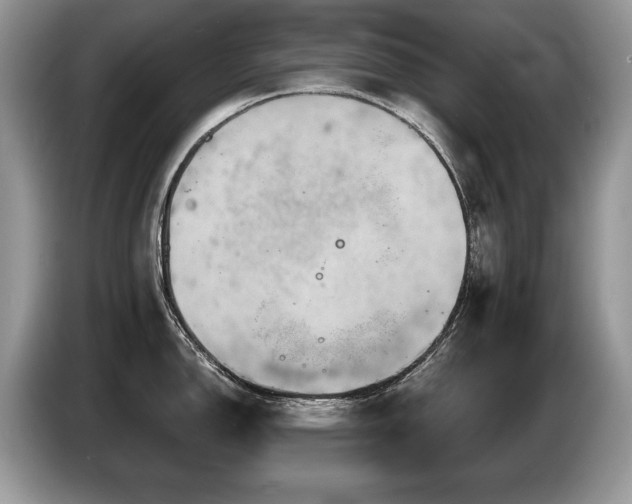 X0000087611150200704271336