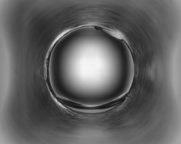 X0000087611151200704271336