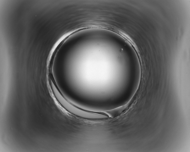 X0000087611152200704271336