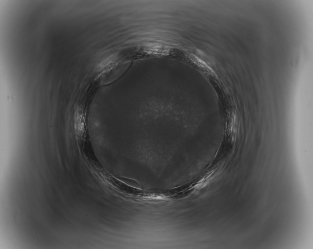 X0000087611154200704271335
