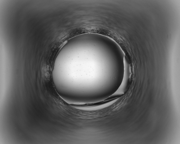 X0000087611156200704271335
