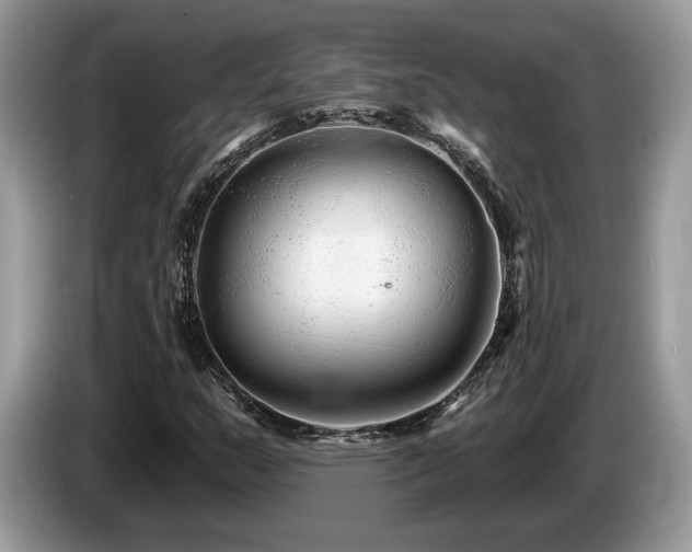 X0000087611159200704271335