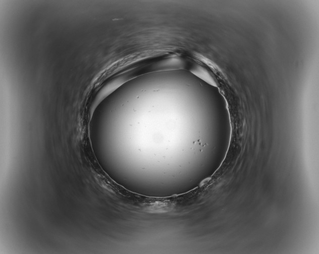 X0000087611160200704271335