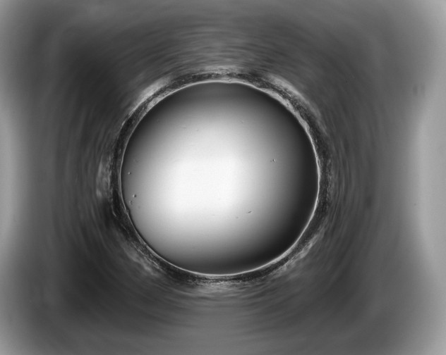 X0000087611162200704271335