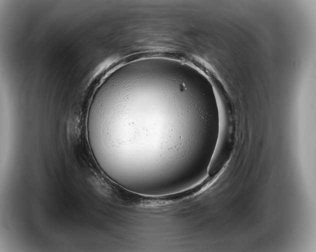 X0000087611163200704271335