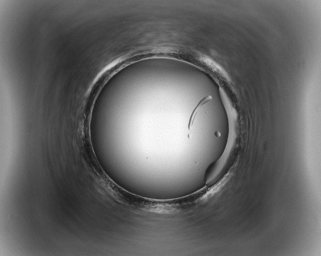 X0000087611166200704271335