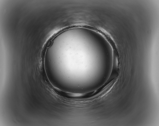 X0000087611167200704271335