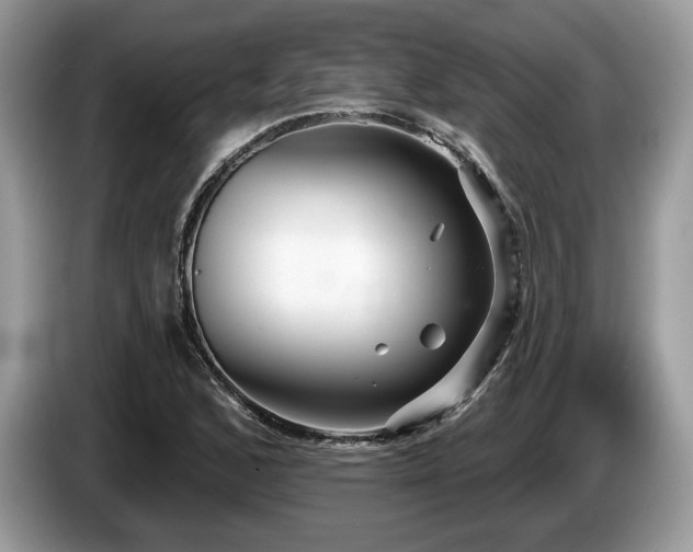 X0000087611168200704271335