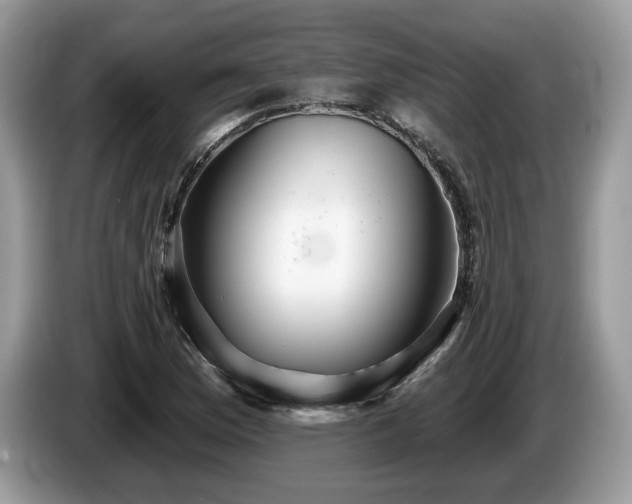 X0000087611169200704271335