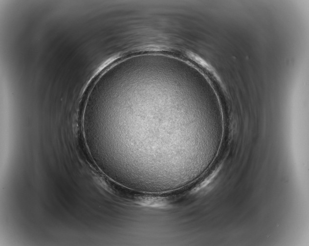 X0000087611170200704271335