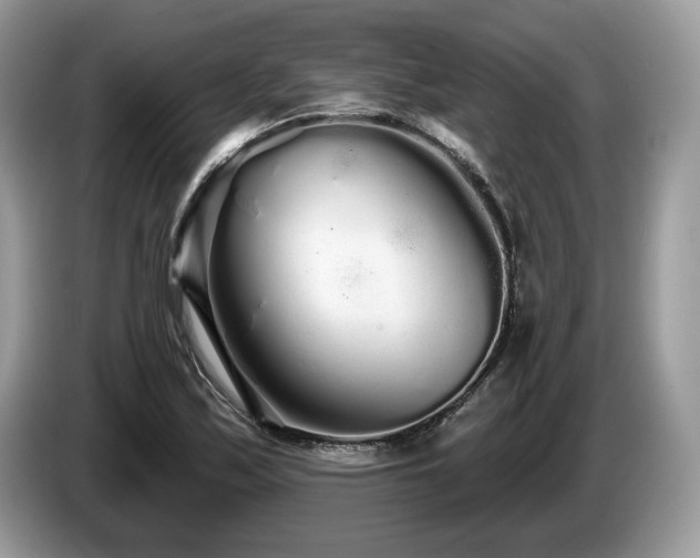 X0000087611171200704271335