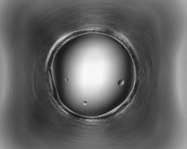 X0000087611172200704271335