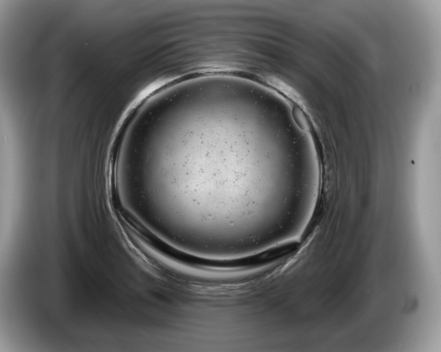 X0000087611179200704271335