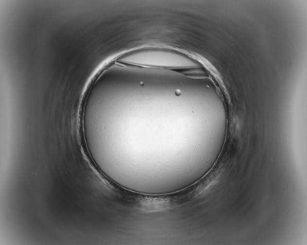 X0000087611183200704271335