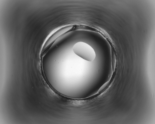 X0000087611184200704271335