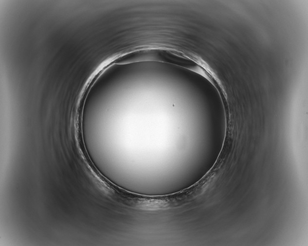X0000087611187200704271335